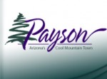 PaysonLogo